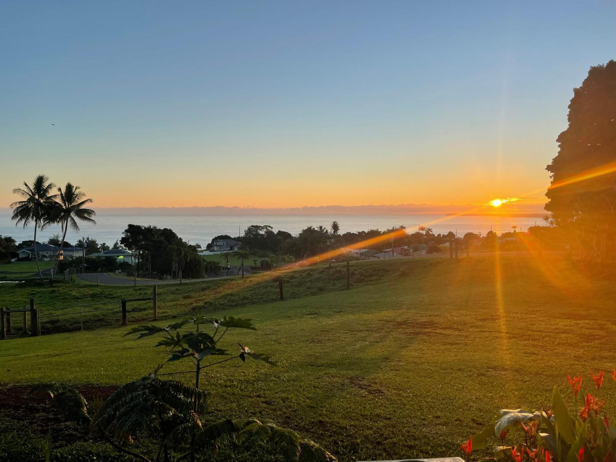 Hawaii Magic Skies Farmstay Paukaa Екстериор снимка