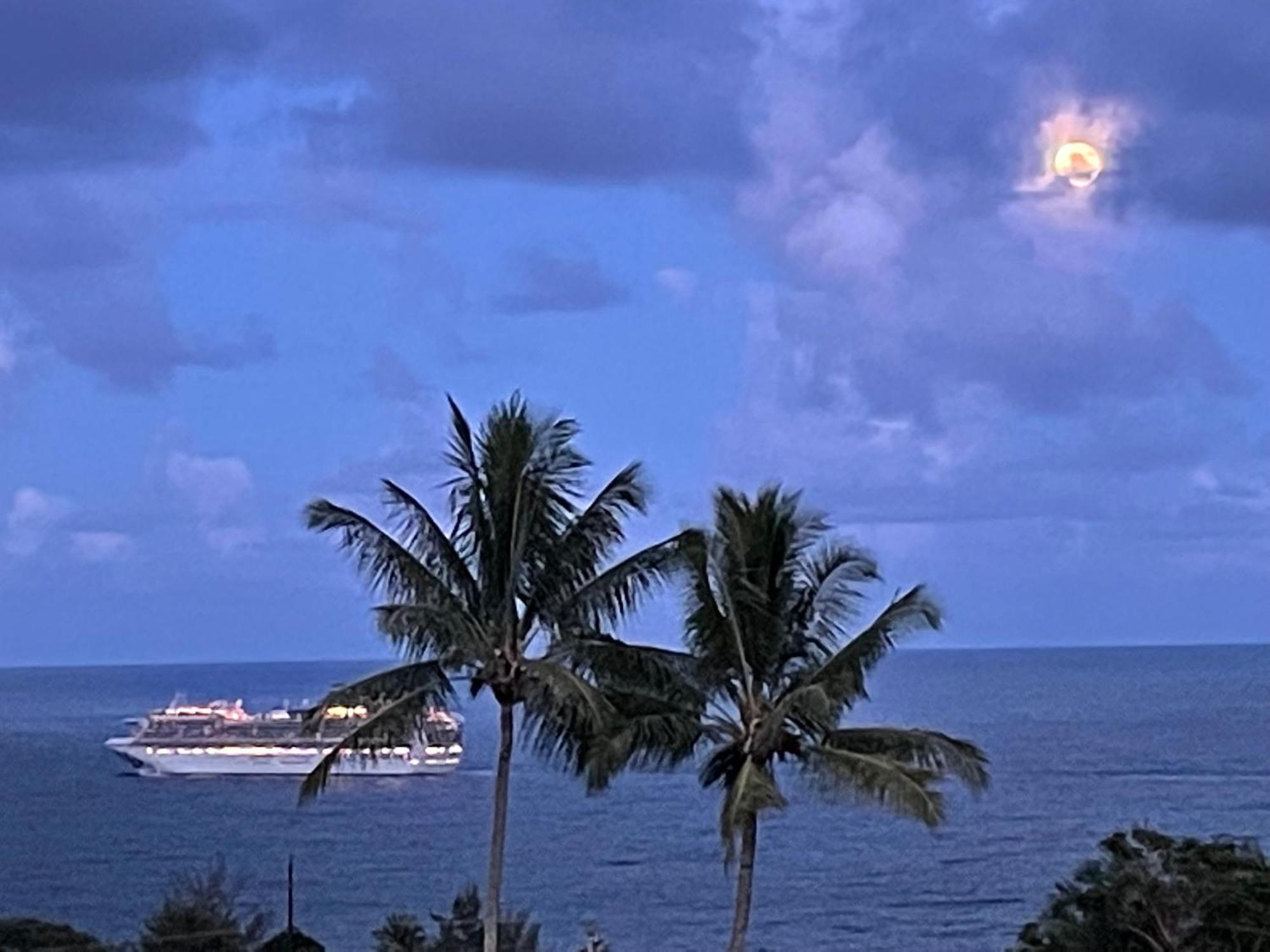 Hawaii Magic Skies Farmstay Paukaa Екстериор снимка