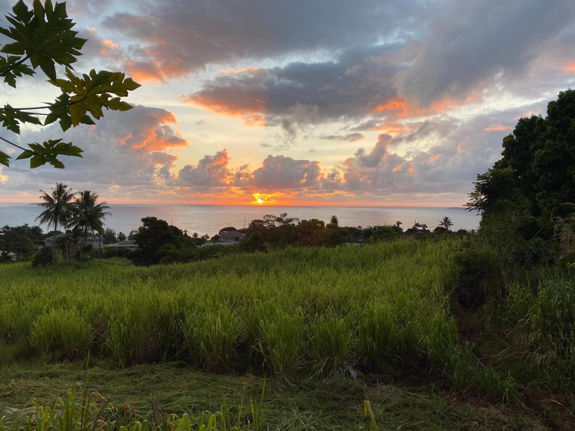 Hawaii Magic Skies Farmstay Paukaa Екстериор снимка